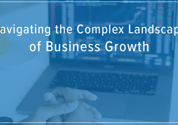 Navigating the Complex Landscape of Business Growth